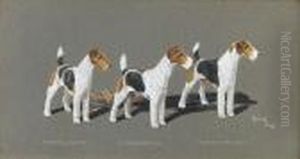 Champion Wire-haired Fox 
Terriers "ch Crackley Sentation", "ch. Crackley Sensational", "ch. 
Barrington Bridegroom"