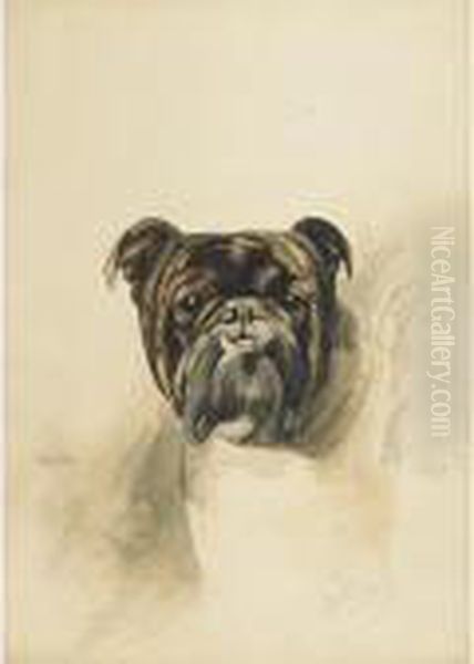 A Favorite Bull Dog - view 1