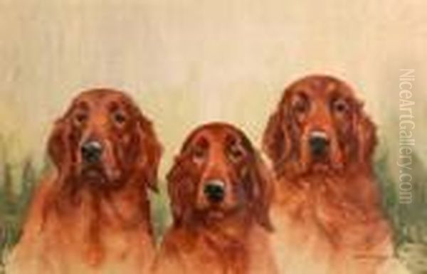 Of Three Red Setters - view 1