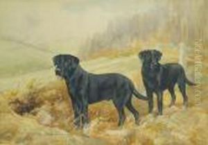 Ch. Titus Of Whitmore And Ch. Tag Of Whitmore In A Field Ch. Titus Of Whitmore And Ch. Tag Of Whitmore In A Field