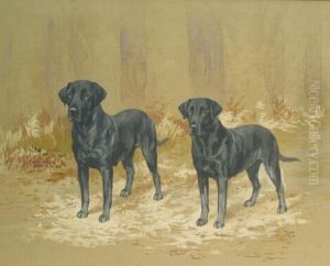 Two Black Labrador Retrievers At The Edge Of A Wood Two Black Labrador Retrievers At The Edge Of A Wood