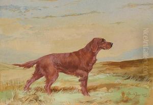 Irish Setter. by Binks, R. Ward
