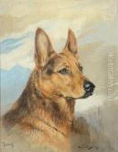 Luchs, German Shepherd