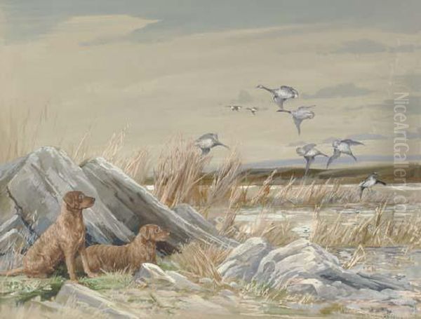 Chesapeakes And Canadian Geese - view 1