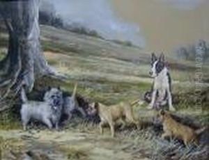 Gone To Ground by Binks, R. Ward