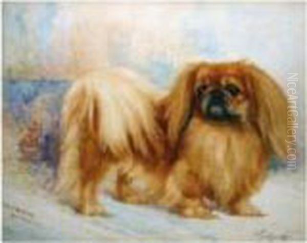 Puck Of Hartlebury, A Pekingese - view 1