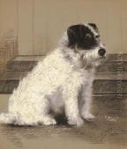 Fuss, A Terrier - view 1