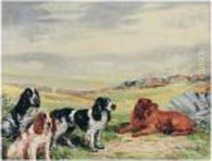 Springer Spaniels At Rest