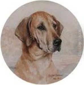 Labrador Retrievers Rufflyn Sentinal And Acne Gaunt by Binks, R. Ward