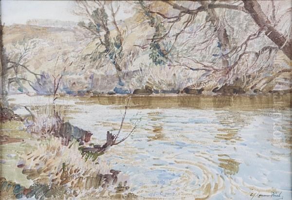 Spring, Devonshire Stream - view 1