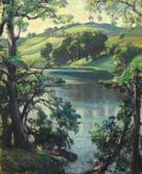 Summer Evening, The Still Pool, Deveron, Near Rothiemay - view 1