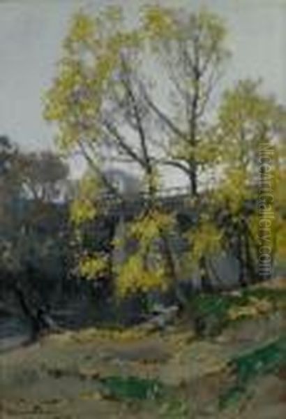 Trees And Bridge By A River - view 1