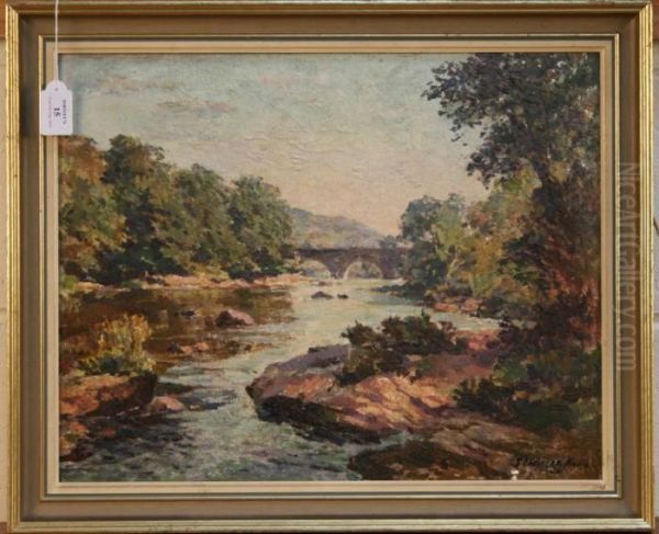 The River Usk At Llangynidr, Breconshire - view 1