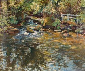 Salmon River