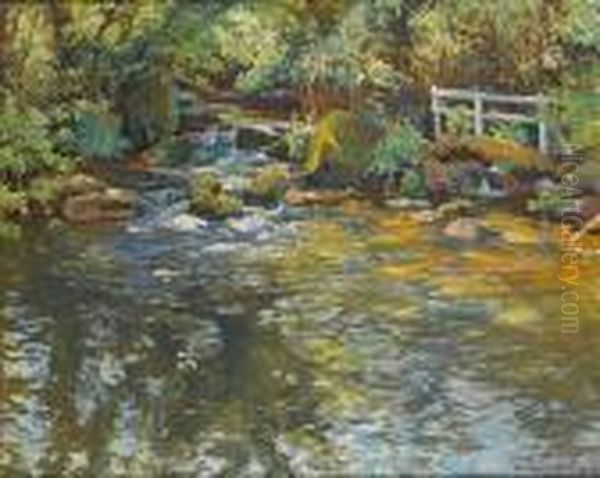 Salmon River - view 1