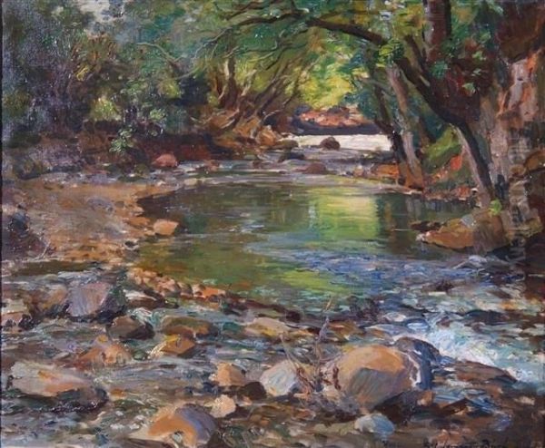 The Taw At Sticklepath' - view 1