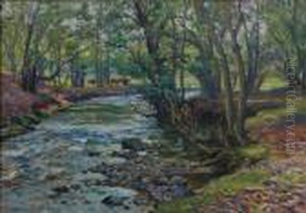 Through A Perthshire Woodland. - view 1