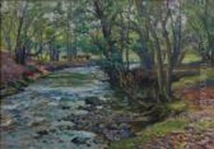 Through A Perthshire Woodland.