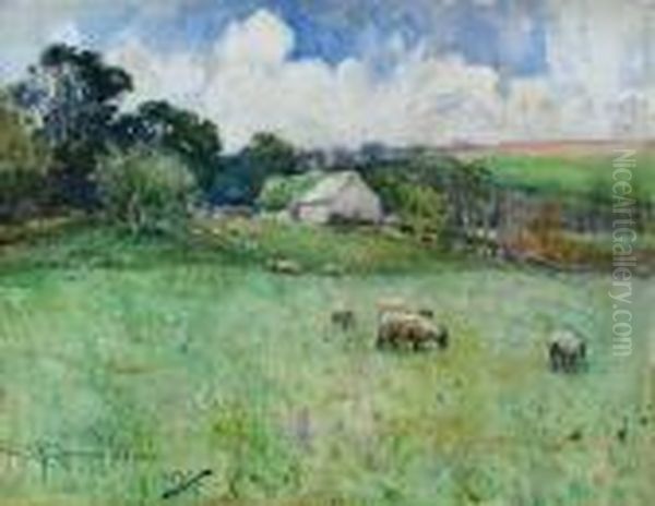 Sheep Grazing In High Summer - view 1