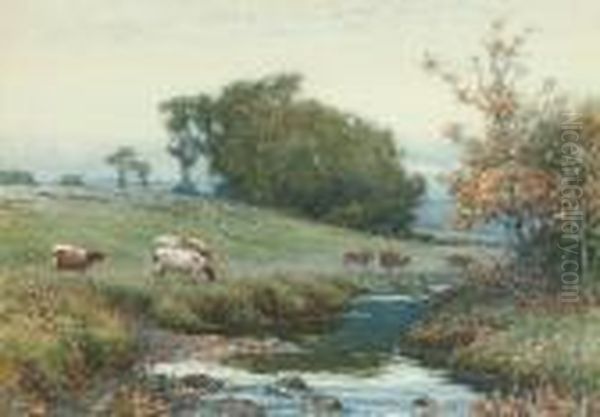 Cattle Watering At A Riverside - view 1