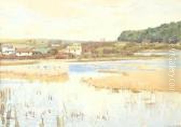 January, Marazion Marshes, Cornwall - view 1