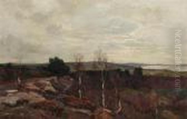 Trees - view 1