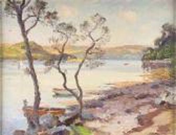 Ormidale, The Fringe Of Loch Riddon - view 1
