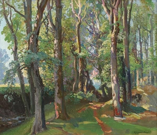 Wooded Path To A Cottage - view 1