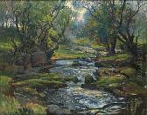 Yorkshire Beck, Ramsgill - view 1