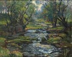 Yorkshire Beck, Ramsgill Yorkshire Beck, Ramsgill