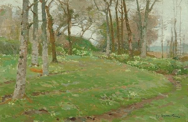 A Wooded Glade - view 1