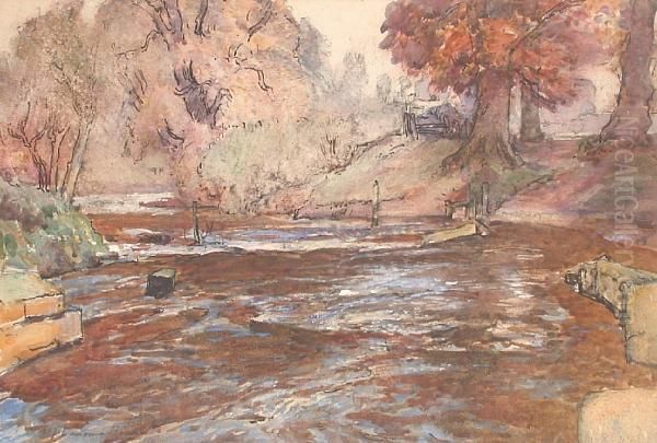 River In Summer - view 1