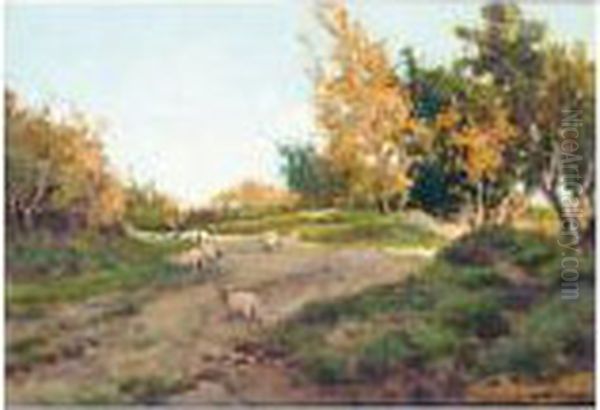 Sheep On A Track - view 1