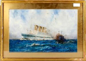 The Hospital Ship "aquitania" The Hospital Ship "aquitania"