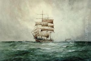 Storm Clouds