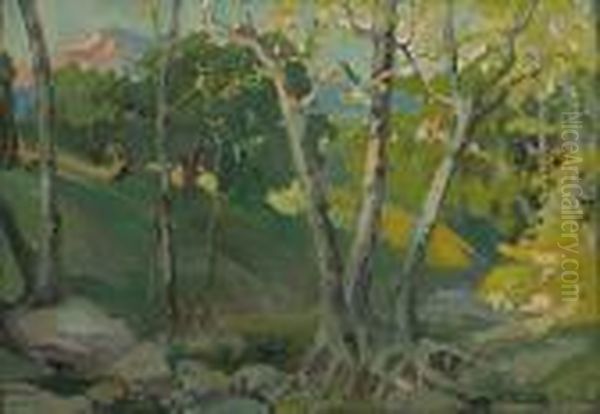 Stream In The Woods - view 1