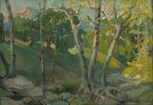 Stream In The Woods