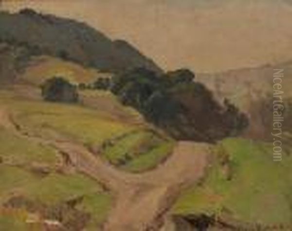 A Path Through The Hills - view 1