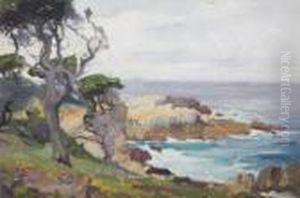 Rocky Cove