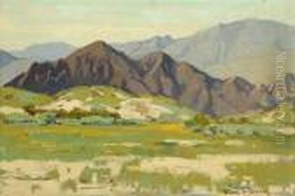 Flower Field In A Foothill Landscape - view 1