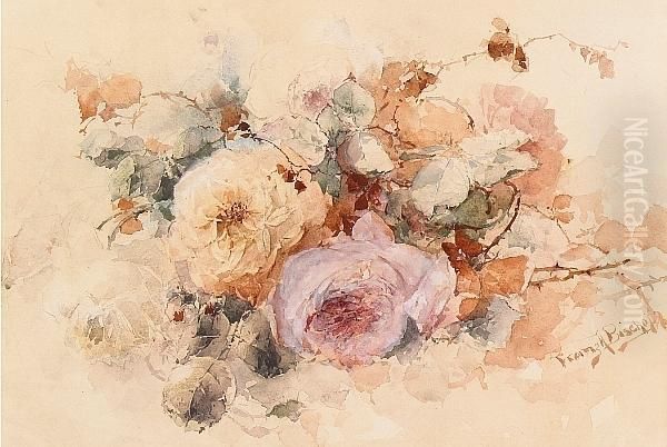Roses - view 1