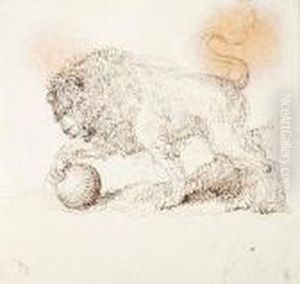Study Of One Of The Medici Lions