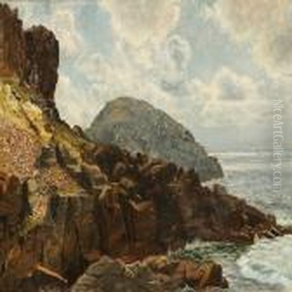Coastal Scene From Kullen, Sweden - view 1