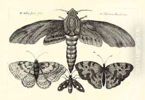 Nine plates, from the Muscarum Scarabeorum, Vermiumque Varie Figure et formae by Wenceslaus Hollar