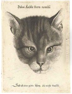 Head of a Cat by Wenceslaus Hollar