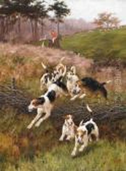 Hounds On The Scent - view 1
