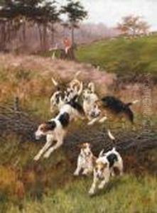 Hounds On The Scent by Thomas Blinks