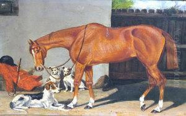 A Chestnut Hunter Outside A Stable - view 1