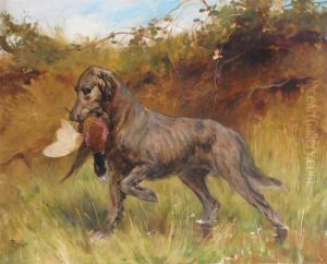 A Retriever Picking Up