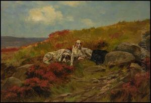 Three Setters Resting By A Path